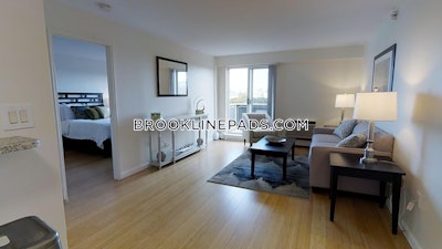 Brookline Apartment for rent 1 Bedroom 1 Bath  Boston University - $3,525