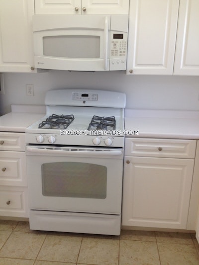 Brookline Apartment for rent 2 Bedrooms 1 Bath  Chestnut Hill - $3,810 No Fee