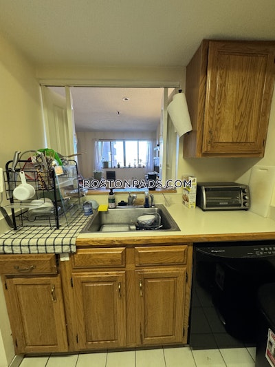 Allston/brighton Border 2 Beds 2 Baths Boston - $3,000