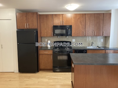 Brighton 1 Bed 1 Bath Boston - $2,662