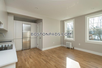 Brighton 1 Bed 1 Bath Boston - $2,650