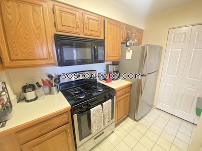 Allston/brighton Border 2 Beds 2 Baths Allston/brighton Border Boston - $3,000