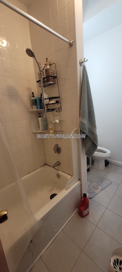 Mission Hill 6 Bed 4 Bath BOSTON Boston - $9,600