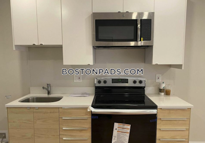 Northeastern/symphony 4 Bed, 1 Bath Unit Boston - $6,400