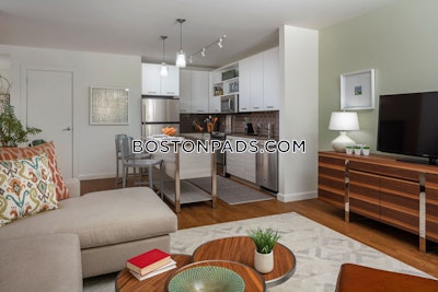 Downtown Apartment for rent 1 Bedroom 1 Bath Boston - $4,031