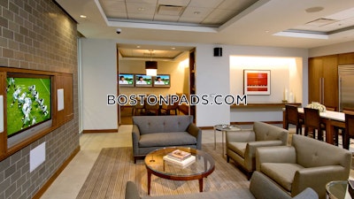 Downtown Apartment for rent 1 Bedroom 1 Bath Boston - $4,172