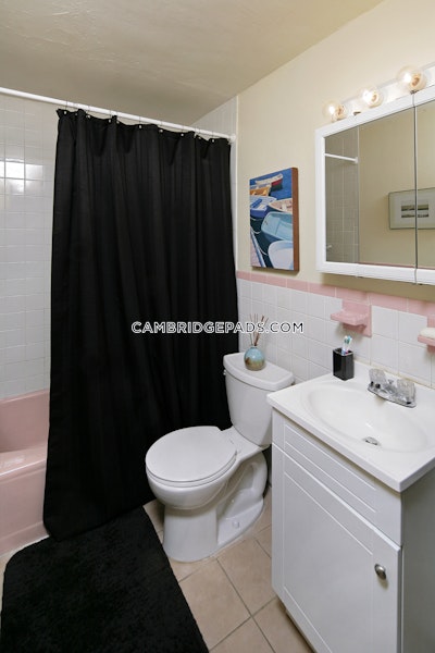 Cambridge Apartment for rent Studio 1 Bath  Davis Square - $2,400