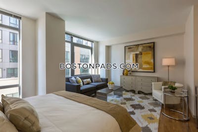 West End Apartment for rent 2 Bedrooms 1 Bath Boston - $5,810