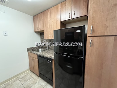 Back Bay Apartment for rent 1 Bedroom 1 Bath Boston - $3,530