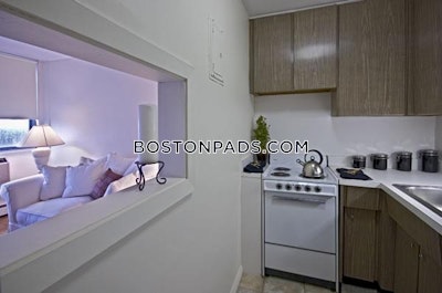 Allston/brighton Border Apartment for rent Studio 1 Bath Boston - $2,100