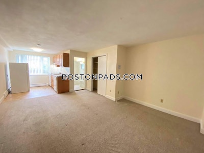 Arlington Apartment for rent Studio 1 Bath - $1,800