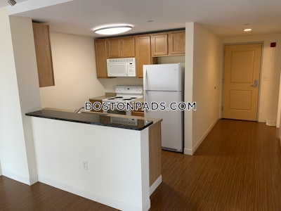 Dorchester Apartment for rent 2 Bedrooms 2 Baths Boston - $3,509 No Fee