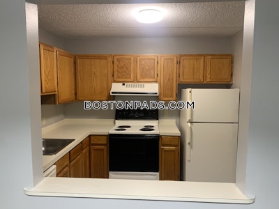 Dorchester Apartment for rent 1 Bedroom 1 Bath Boston - $3,255