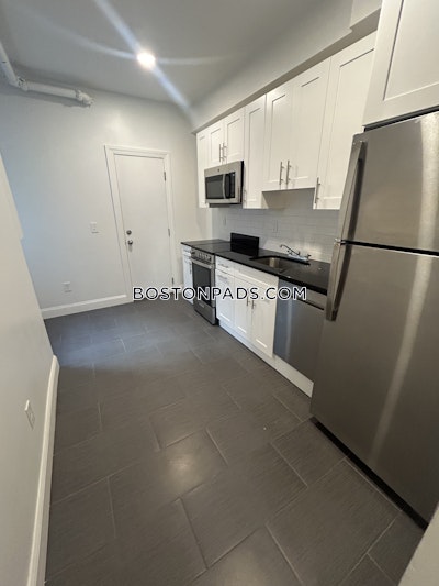 Brighton 2 Beds 1 Bath Boston - $3,195 No Fee