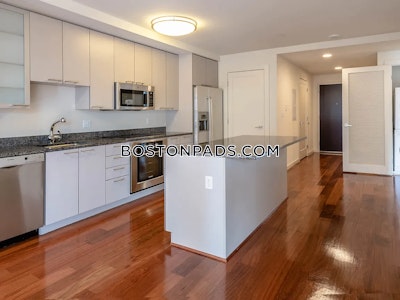 West End Apartment for rent Studio 1 Bath Boston - $3,000