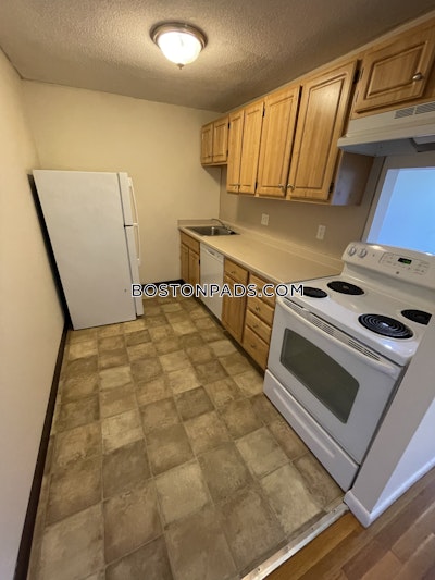 Cambridge Apartment for rent 1 Bedroom 1 Bath  Mt. Auburn/brattle/ Fresh Pond - $2,300 No Fee