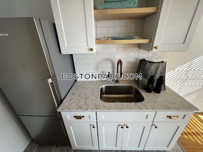 Brookline Apartment for rent 1 Bedroom 1 Bath  Coolidge Corner - $3,403